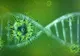 Noi tulpini MUTANTE ale noului coronavirus