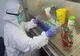 Toate cadrele medicale vor fi testate