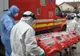 Noi măsuri în Sănătate: servicii medicale pentru toți bolnavii de COVID, asigurați și neasigurați