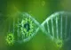 S-a inventat microcipul care DETECTEAZĂ infecția cu Sars-Cov-2