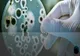 Săptămâna Mondială a Conștientizării Antimicrobiene 18 - 24 noiembrie 2022