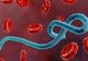 OMS: Peste 900 de cazuri suspecte de Ebola în RD Congo. 101 au fost confirmate