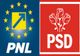 Ședințe cruciale la PSD și PNL – Ce decizii vor lua, astăzi, partidele din Coaliție